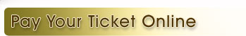 Pay Your Ticket Online